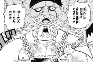 王下七武海初期メンバーは ミホークやハンコックなど脱退したメンバーも紹介