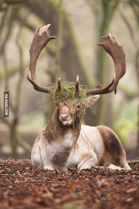 crypt0_castle's tweet photo. Nature, in all its majestic glory. http://t.co/lZ3upGQG0i