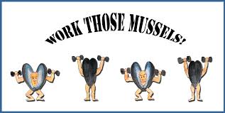 MoulesaGoGo's tweet photo. Mussel Mondays - 241- mussels all day @TasteCheshire @welovecheshire @VisitChester_ http://t.co/kRE13nj0zV