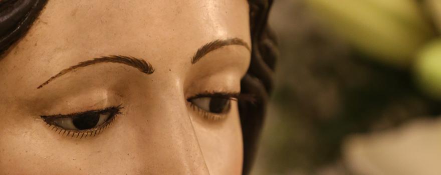 Octavo día de Novena en honor a María Stma. de la Aurora
paseillo.es/noticia/octavo…
Foto: paseillo.es-Juan Pérez