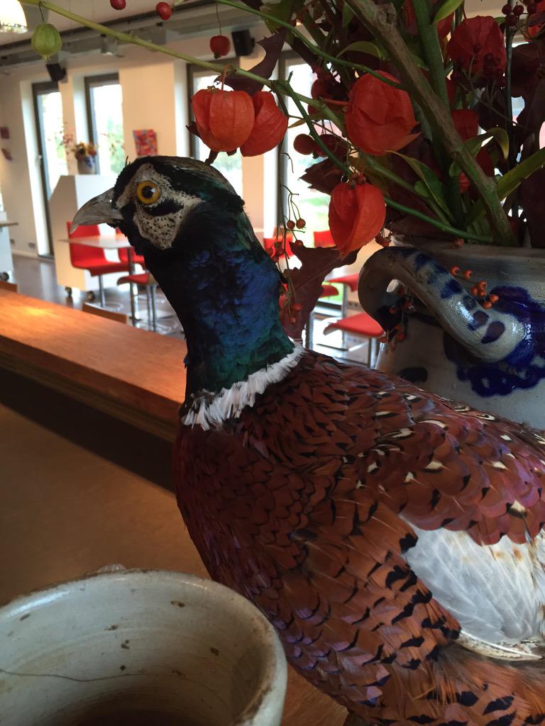 Laat het wildseizoen beginnen. Zo ook bij <a href="/Piccalilly1/">Piccalilly Catering</a> Kom #lunchen bij ons op #papendorp en geniet!