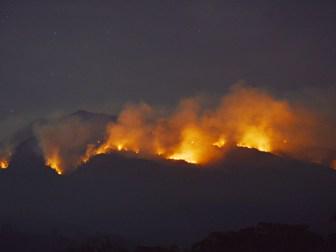 Metro_TV's tweet image. [Populer] Identitas Lima Korban Tewas Kebakaran Gunung Lawu metrotvn.ws/B181568