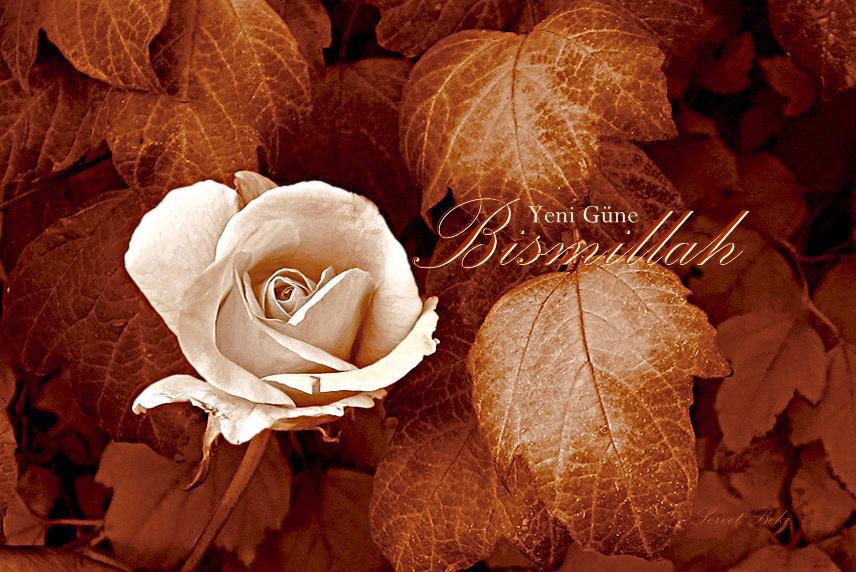 Bismillah her Hayrın Başıdır
Bazıları Her Hayra Karşı da Olsa!
Güzel Bir Gün, Hayır Dualarıyla Başlar
Hayırlı Günler
