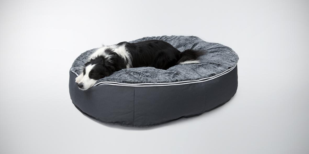 Designer Dog Beds