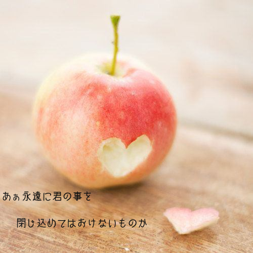 Back Number 歌詞画botさん の人気ツイート 2 Whotwi グラフィカルtwitter分析 Back Number 歌詞画botさん の人気ツイート 2 Whotwi グラフィカルtwitter分析