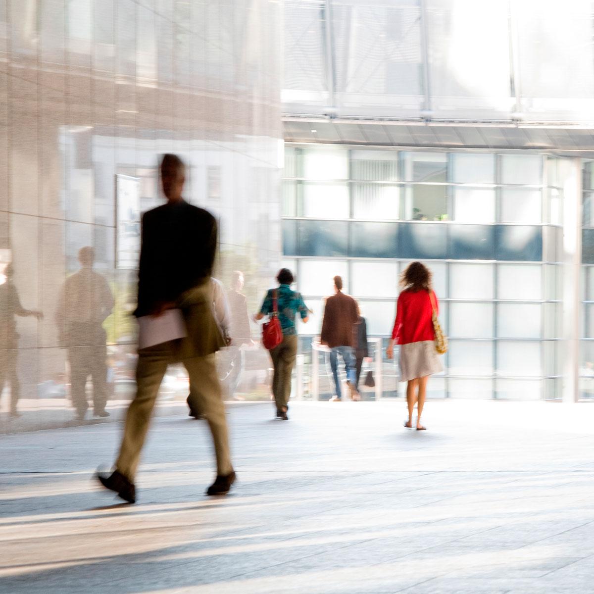 02/11/2015 - Legislação laboral  | Formação presencial  Lisboa (gratuita) cecoa.pt/courseaction/s…