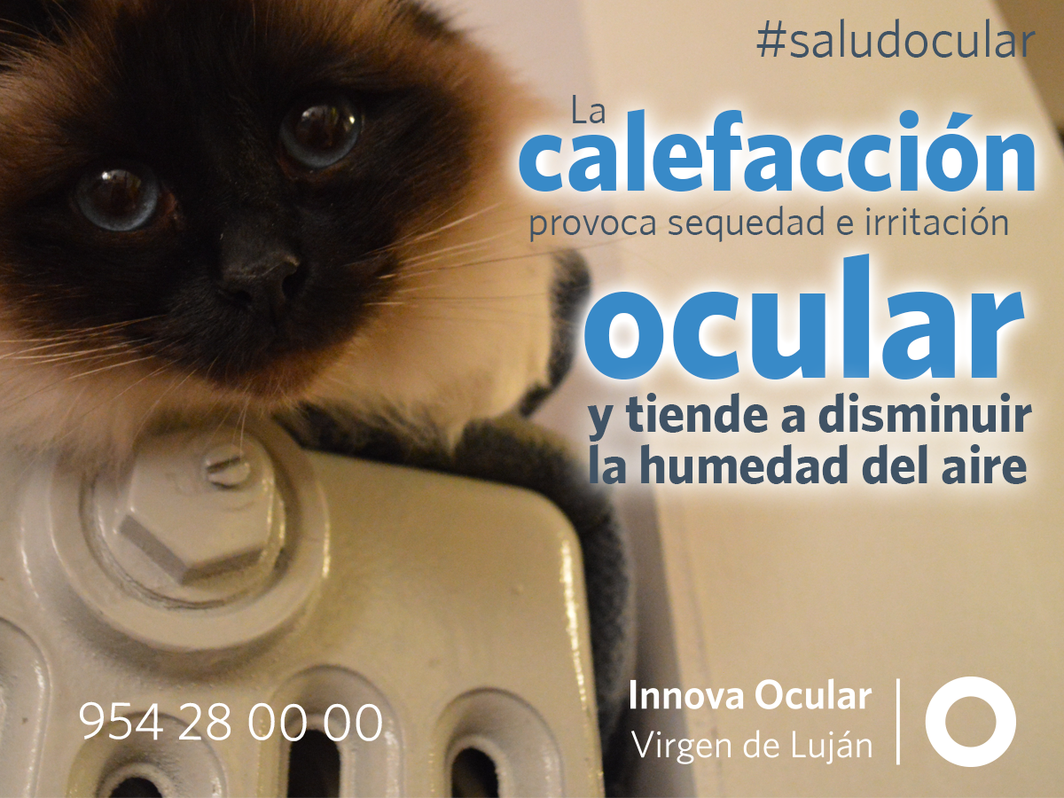 IOVLSEVILLA's tweet photo. Comienza el época de frío y nos gustaría darte un #ConsejoIOVL a tener en cuenta para tu #saludvisual. http://t.co/4SNLfLIzYZ