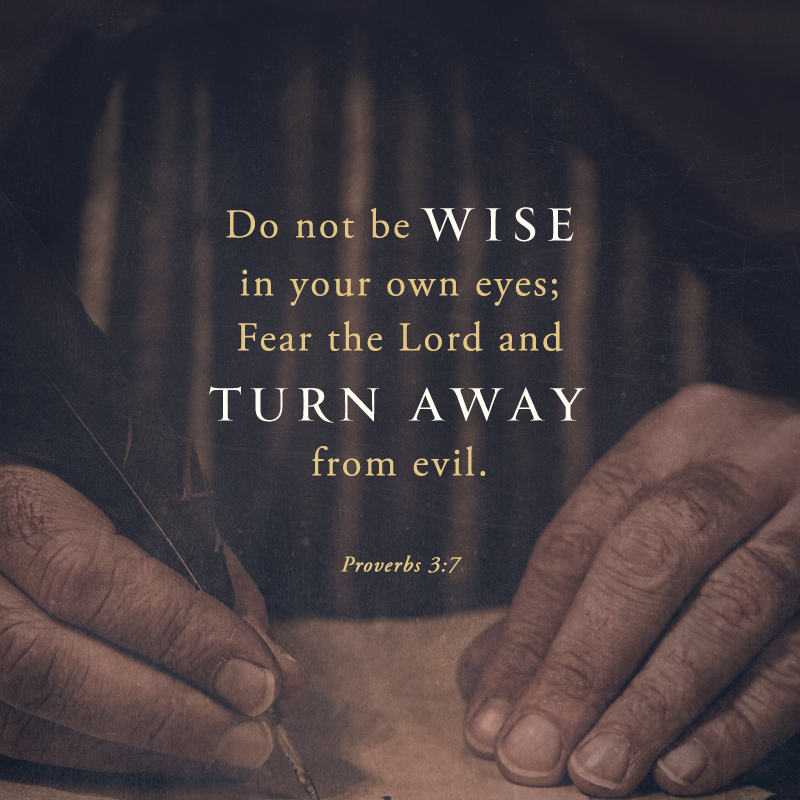 asics gel contend 6 womens