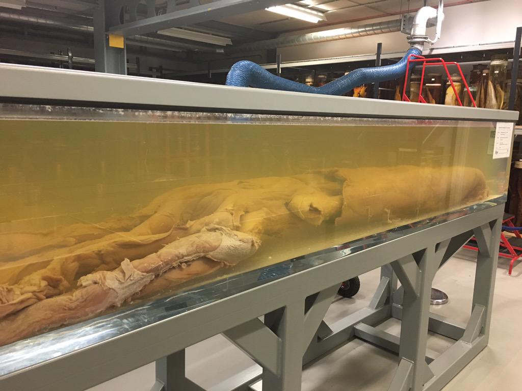npch's tweet photo. Behind the scenes of the @NHM_London collections at the #softwarecredit workshop http://t.co/3fPs42zR8V