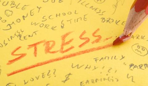 MSUNeighborhoods tweet media