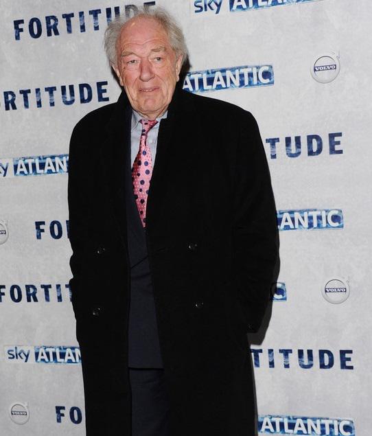 Happy birthday to Sir Michael Gambon, Albus Dumbledore in the Harry Potter films, who turns 75 yrs old Oct 19, 2015! 