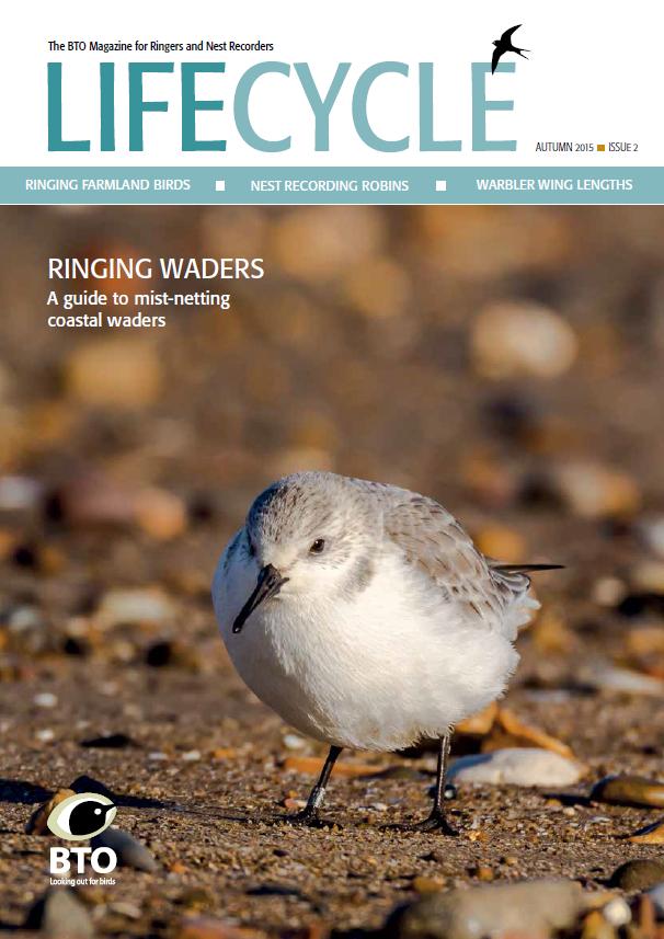 Issue 2 of #LifeCycle mag is now online bto.org/research-data-… <a href="/Alimantado/">Carl Barimore</a> <a href="/rock_nester/">Rock_nest(her) 🏳️‍⚧️</a> <a href="/_BTO/">BTO</a> #birdringing #NRS