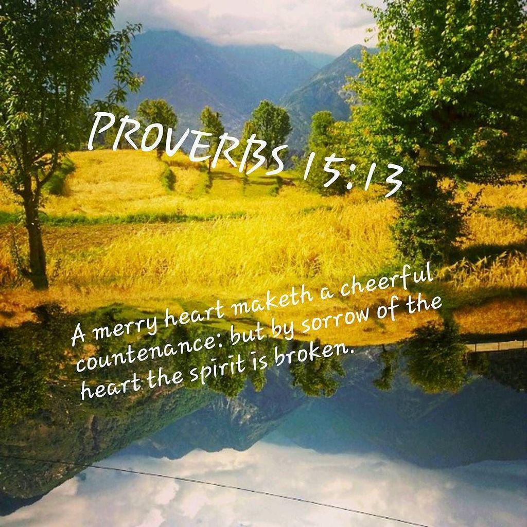 ldsfiles's tweet image. At ldsfiles.com -- #proverbs #proverbs1513 #ponderize #mormon #holybible #bible #churchofjesuschristofl…
