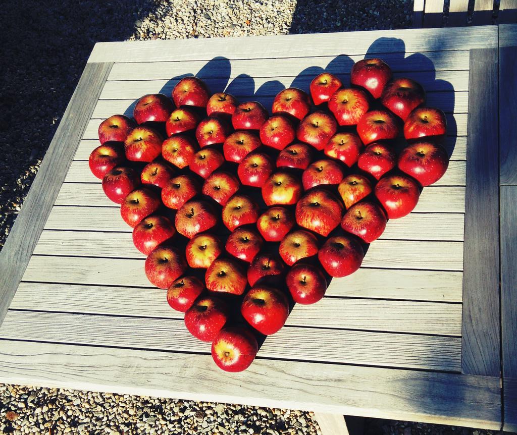 potagerdesfees's tweet photo. Autumn #recycling #relovedbag #upcycledarmyblanket http://t.co/LFzAjWALKj