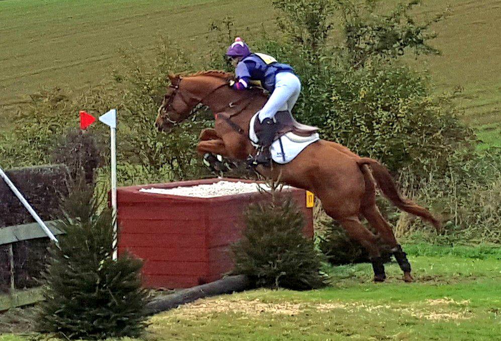 ToriAsprey84's tweet photo. @GinnyHoweEvent @bedeevents @bedelive #flyingalong #eventinglive #cleverpony #ginger https://t.co/buzmsFtEmn