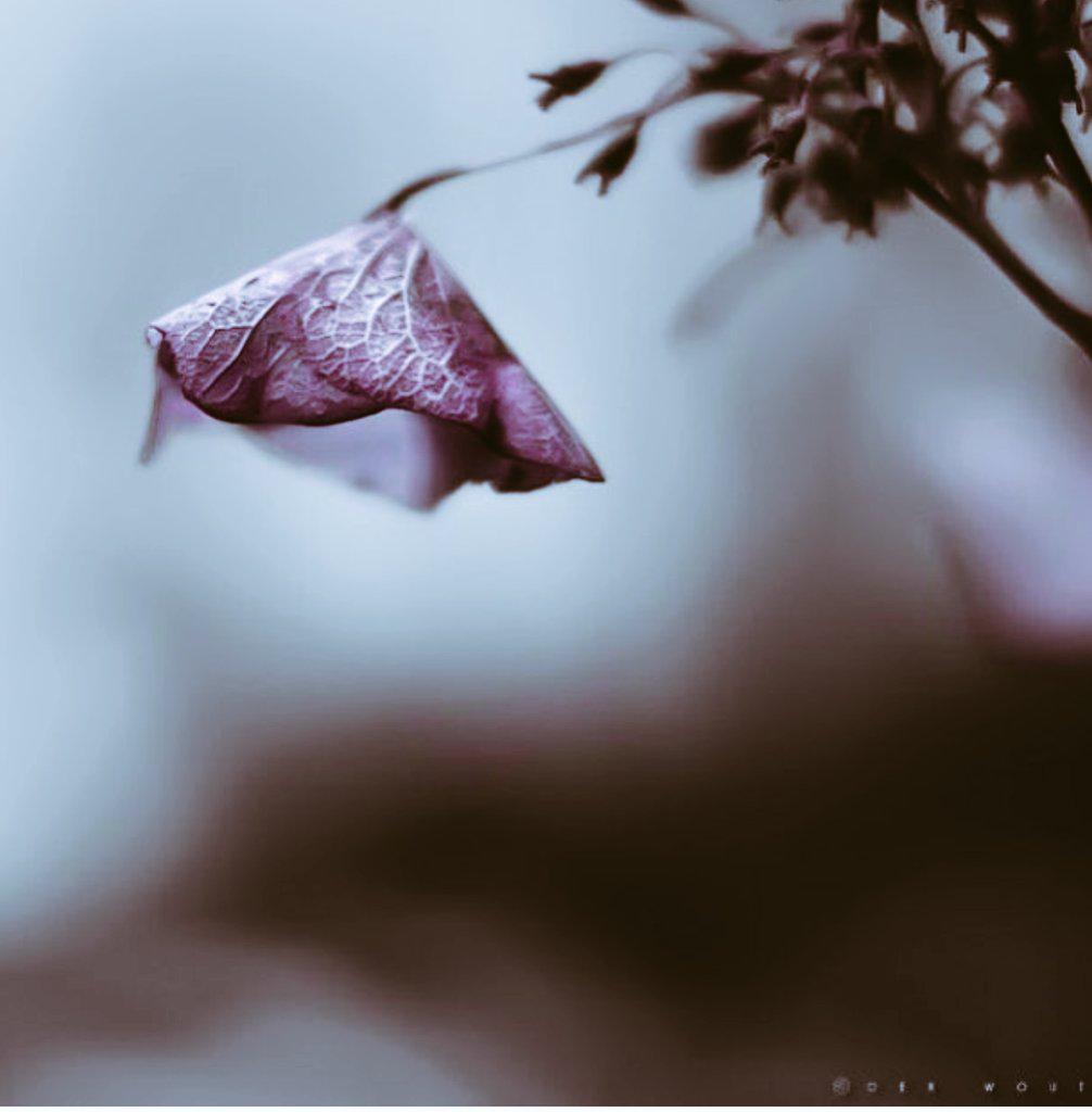 نسـتغفرك ربـنا عـن كل حـرف يُحـملنا ذنـباً..