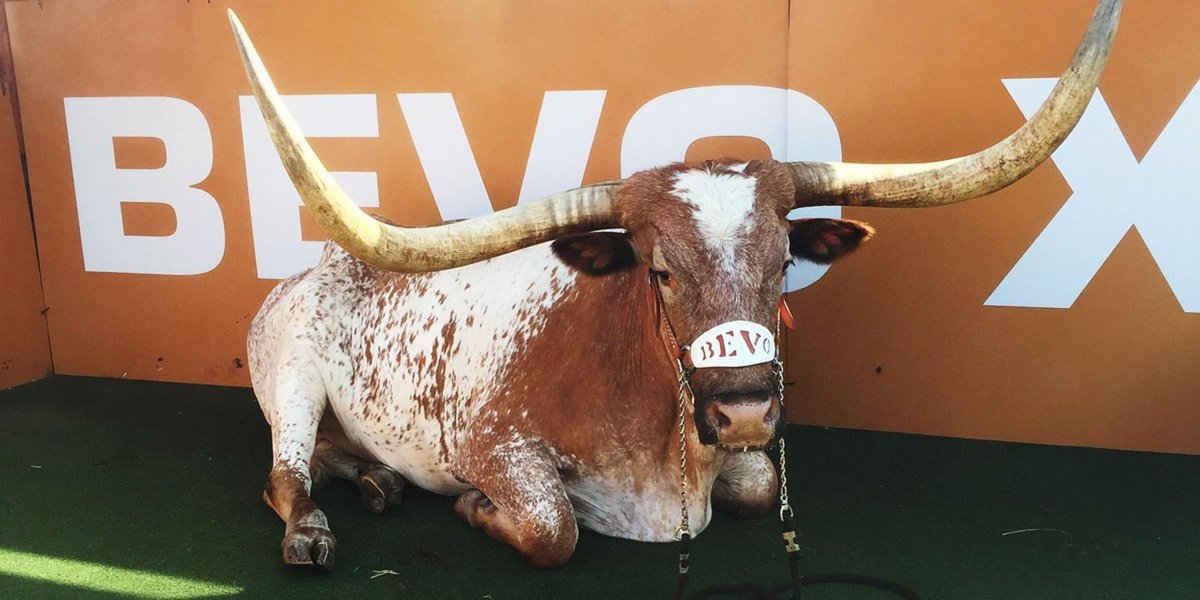 SInow's tweet image. Texas handlers remember Bevo XIV, the calm steer beloved by everyone (via @SI_CampusRush) on.si.com/1RSnWPn
