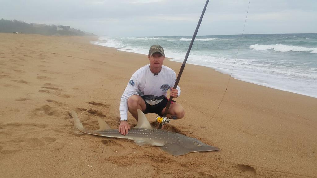 DarynSmit's tweet image. Great afternoon fishing at Umdloti. Summer beasts are here early &amp;amp; in abundance @FreeSpoolsa @bradjarthur @Prene13