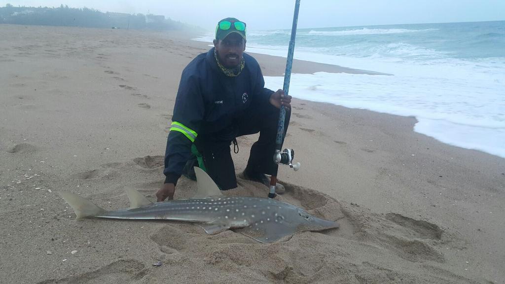 DarynSmit's tweet image. Great afternoon fishing at Umdloti. Summer beasts are here early &amp;amp; in abundance @FreeSpoolsa @bradjarthur @Prene13
