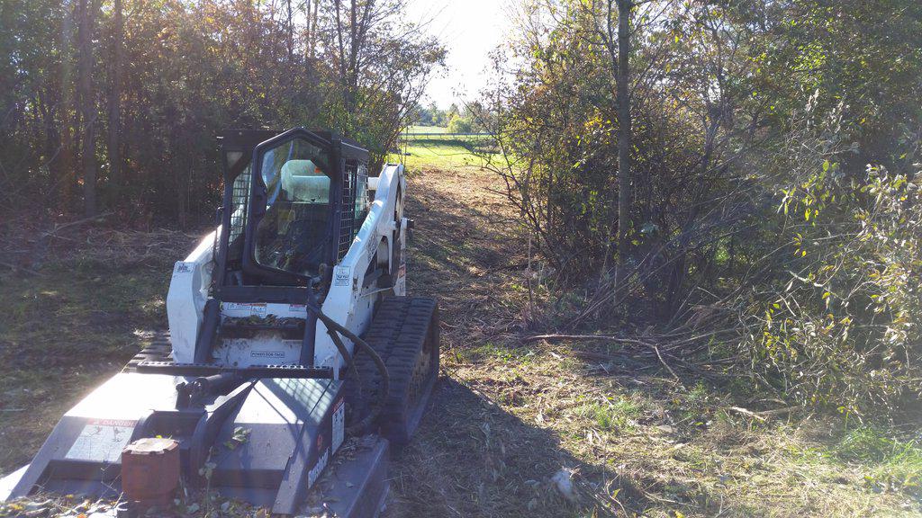 Stanley Tree Service Harrodsburg Ky All information Stanley Tree Service Harrodsburg Ky All information