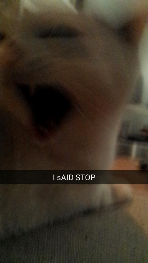 A tragic love story: the novel