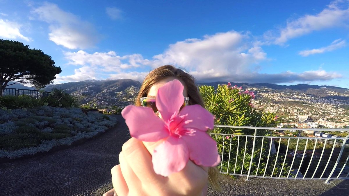 seekinsider's tweet image. Picture from my first youtube video #checkitout #firstyoutubevideo #Travel #Holiday #MadeiraIsland