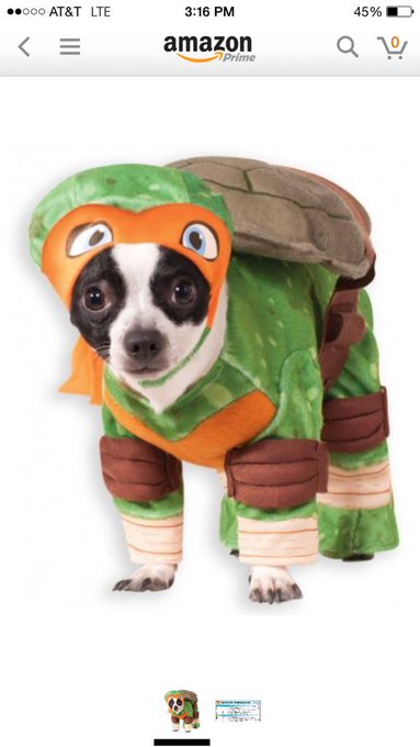 Should I get this for Dagny for Halloween? She'd hate it but it'd be hilarious. ? https://t.co/7Losg