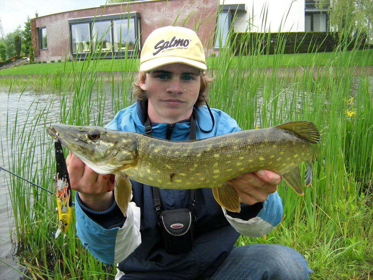 Mernik (@mernikbrink) on Twitter photo 