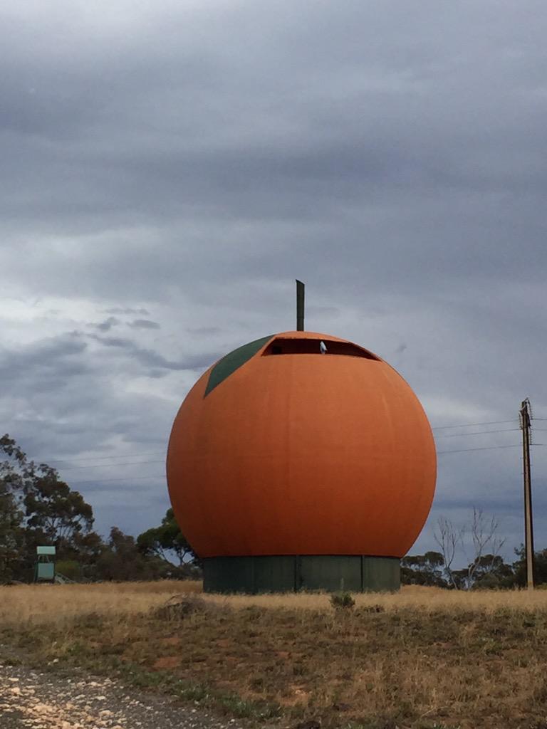 TeamYACSA's tweet photo. Good morning, Riverland! Looking forward to our consult with FLO students today #involveus2015 #bigissues #bigorange https://t.co/GbmzOpyVen
