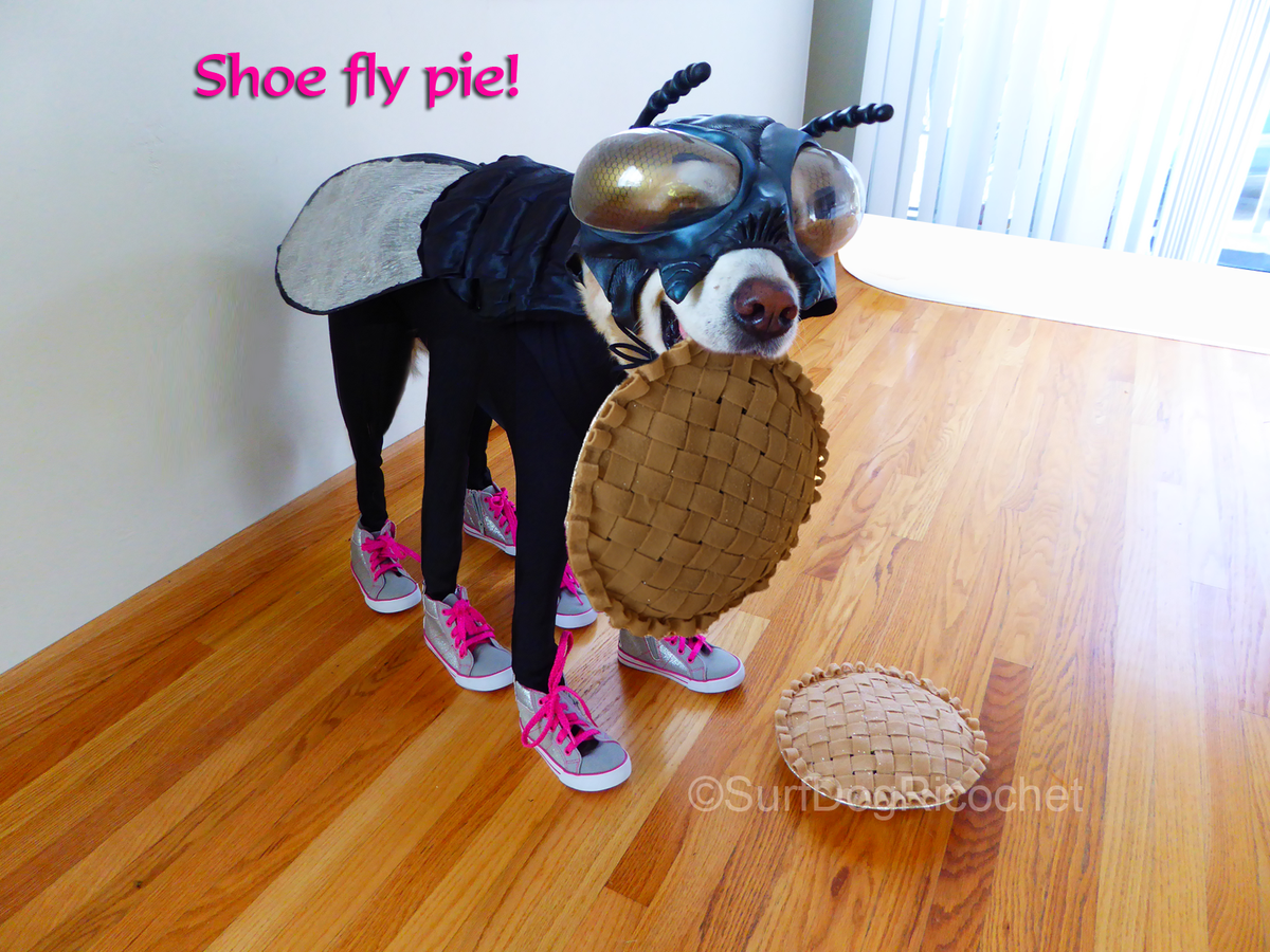 SurfDogRicochet's tweet image. This is my sis Rina dressed as Shoe Fly Pie cuz she loves shoes! #BlogPawsHalloween