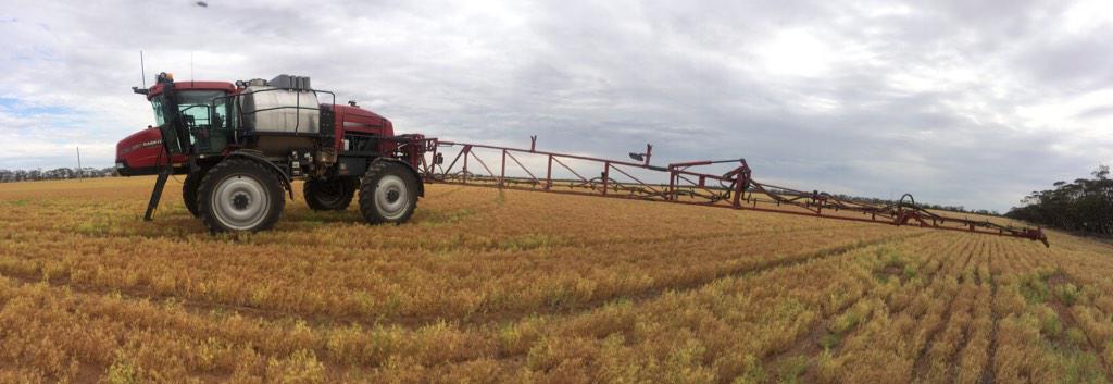 DMAg_consultant's tweet image. Dessicating lentils - limiting hurricanes exposure to environment #poddrop