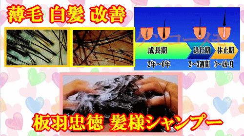髪様シャンプー