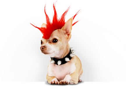 InstantPayWorld's tweet image. There´s a lot of reasons why we are different bit.ly/1OsqVxT