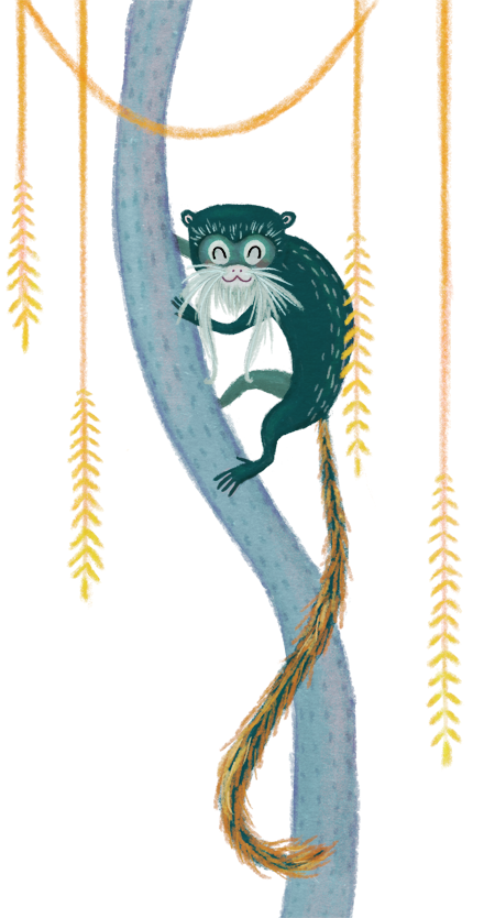 I almost forgot about #AnimalAlphabets! A late emperor tamarin