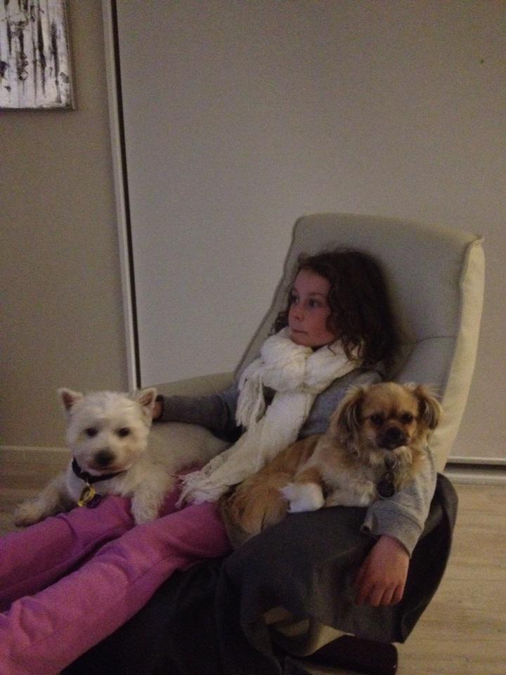 MichEnglehardt's tweet image. A girl and her dogs #missingPapamoa