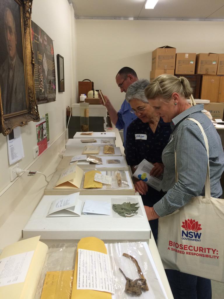 NorthWestLLS's tweet photo. LLS Plant Biosecurity Surveillance sample submission training. NSW Plant Pathology Herbarium https://t.co/DTJFe9kvEQ https://t.co/DXusN5UH7S