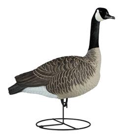 HuntAddictions's tweet image. Great deals on @DakotaDecoy including the NEW Signature Series #decoys here -&amp;gt;-&amp;gt;-&amp;gt;

huntaddictions.com/productlist.as…