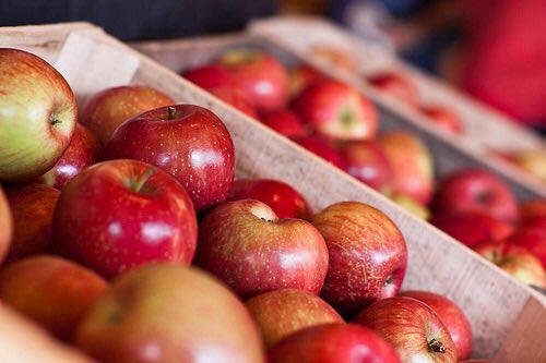 신성희 (@shintextile) on Twitter photo 