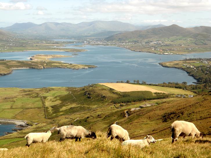 Explore ✈️ tweet media