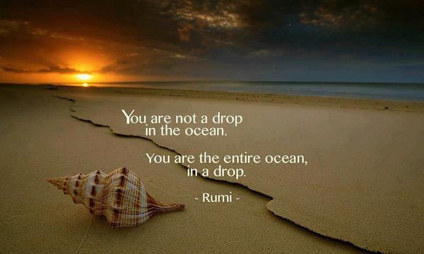 TamaraMcCleary's tweet image. "You are not a drop in the ocean. You are the entire ocean in a drop." ~ Rumi #quote #inspiration #relationshift