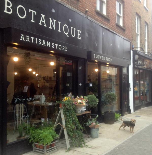 DalzielandPow's tweet image. Congrats to our neighbours @InwiththeoldCo on new concept store #botaniqueworkshop – blooming marvellous! #florist