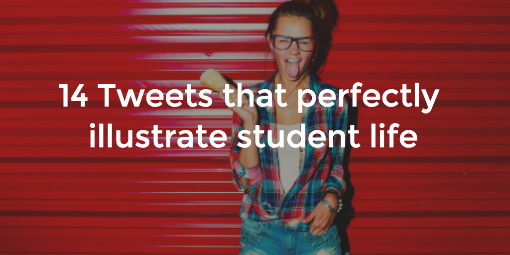 Uniplaces's tweet photo. We love Twitter but we love students even more!
Thanks guys.
https://t.co/m9UZ5p7OLU https://t.co/iVHKtTzvjF