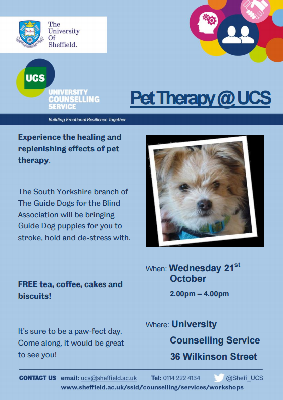 sheffielduni's tweet image. Tomorrow @Sheff_UCS are hosting a Pet Therapy session for students, for more info visit ow.ly/TCicr