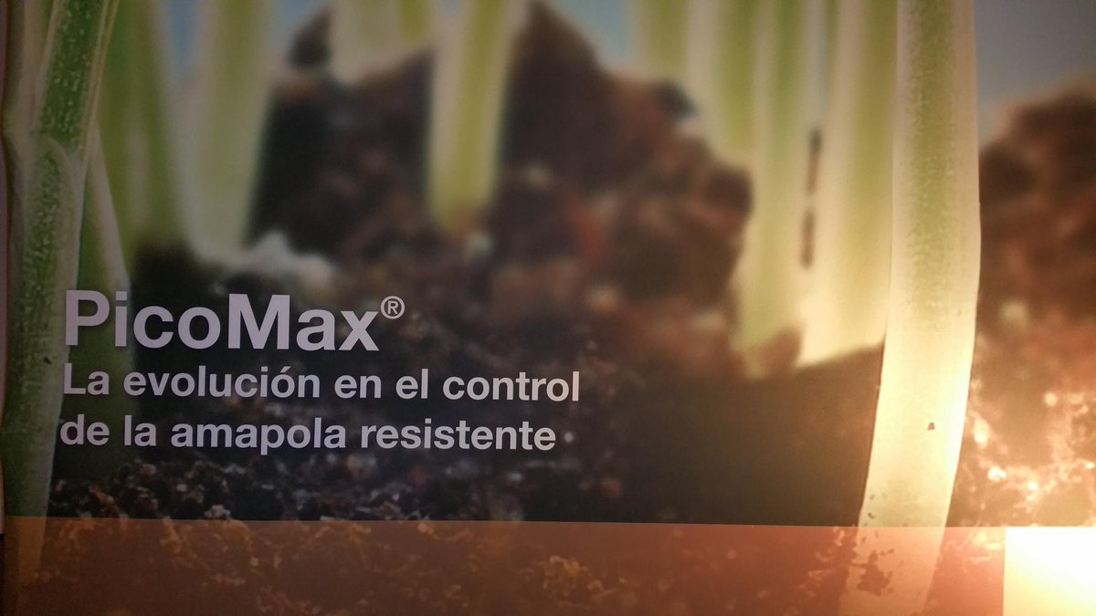 Paralcampo's tweet image. Presentación #picomax nuevo herbicida que controla la amapola resistente en cereales @BASFAgro