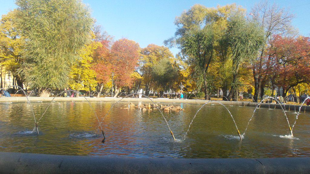 Nataly 🌊 tweet media