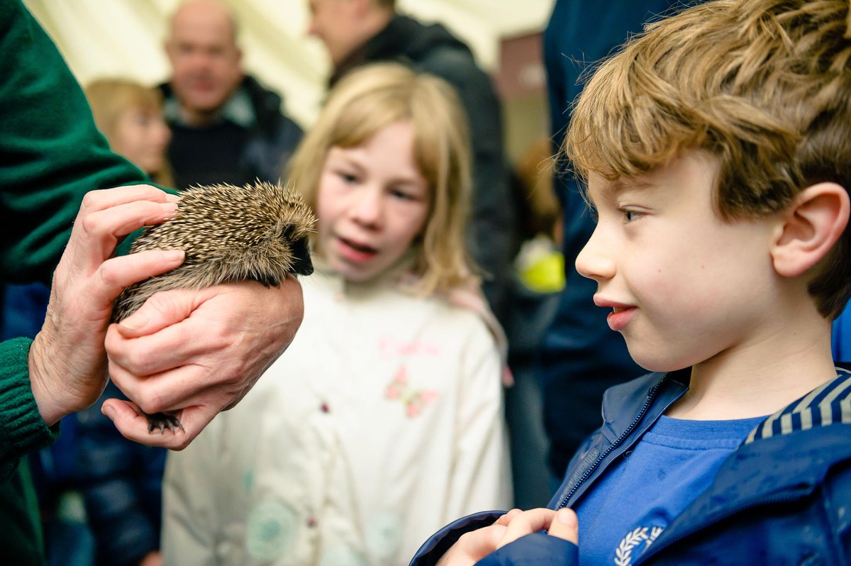 Avon Wildlife Trust tweet media