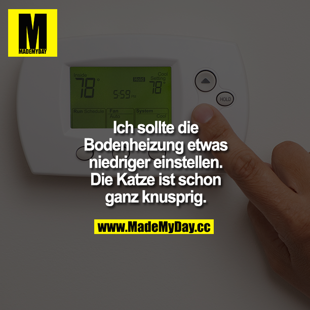 DerEchteKramer's tweet photo. RETWEETEN wer auch so lachen musste :D Hier gibts die günstigsten Spiele, Freunde https://t.co/kSFwkzeXVW https://t.co/s1sfCJHnwS