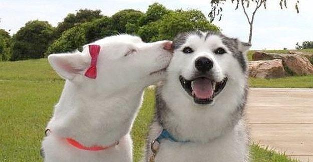 shine_vision's tweet photo. 28 Things That Will Make You Impossibly #Happy No Matter Your Mood https://t.co/jOQ4BzJb3F #shinevision #socialmedia https://t.co/ur6z1jRNg3
