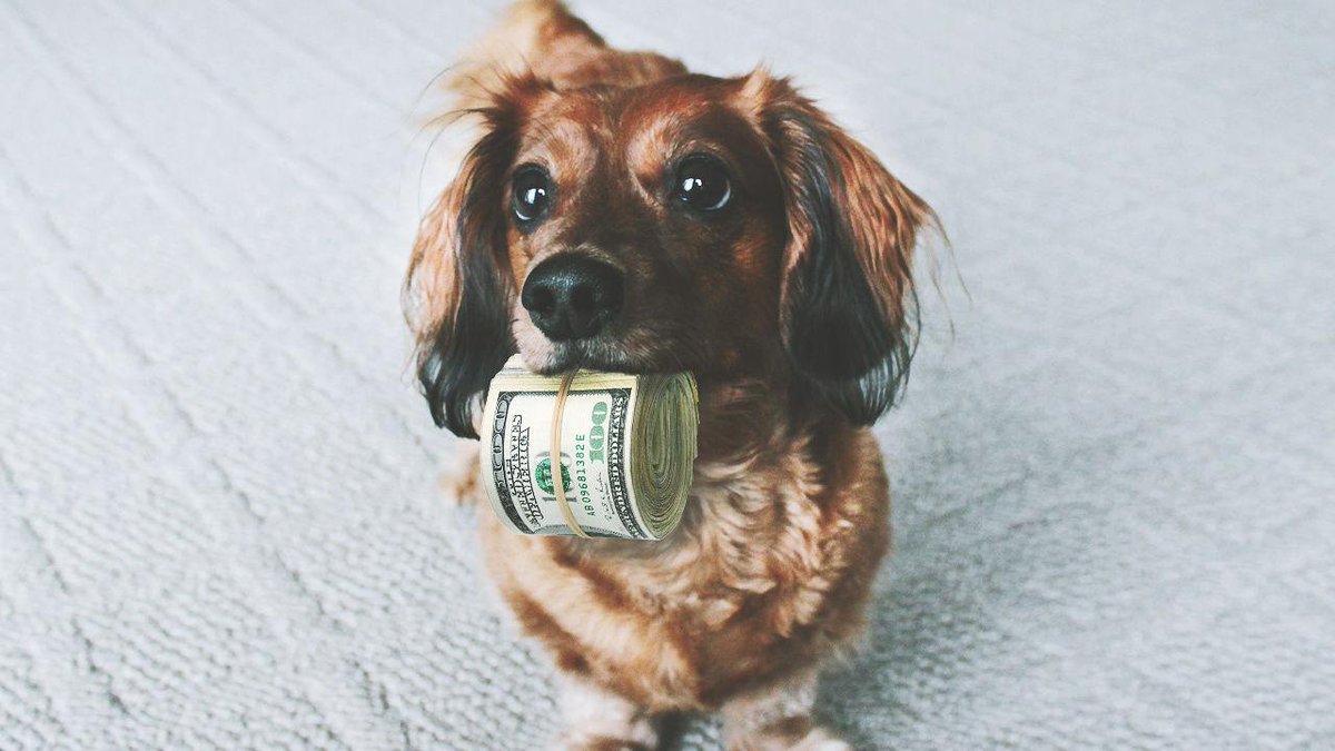 FastCompany's tweet image. 5 most common ways startups waste money: f-st.co/eq809vm