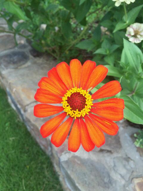 CeciliamormarM's tweet photo. #Proverbios "Hay oro y multitud de piedras preciosas,pero joya más preciosa son los labios prudentes." https://t.co/PX8bo5IioZ
